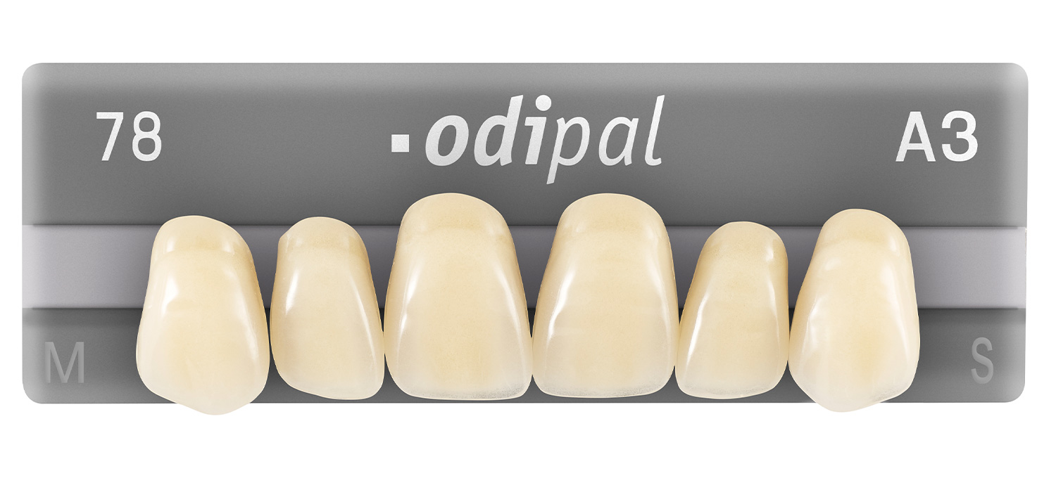 odipal dientes artificiales