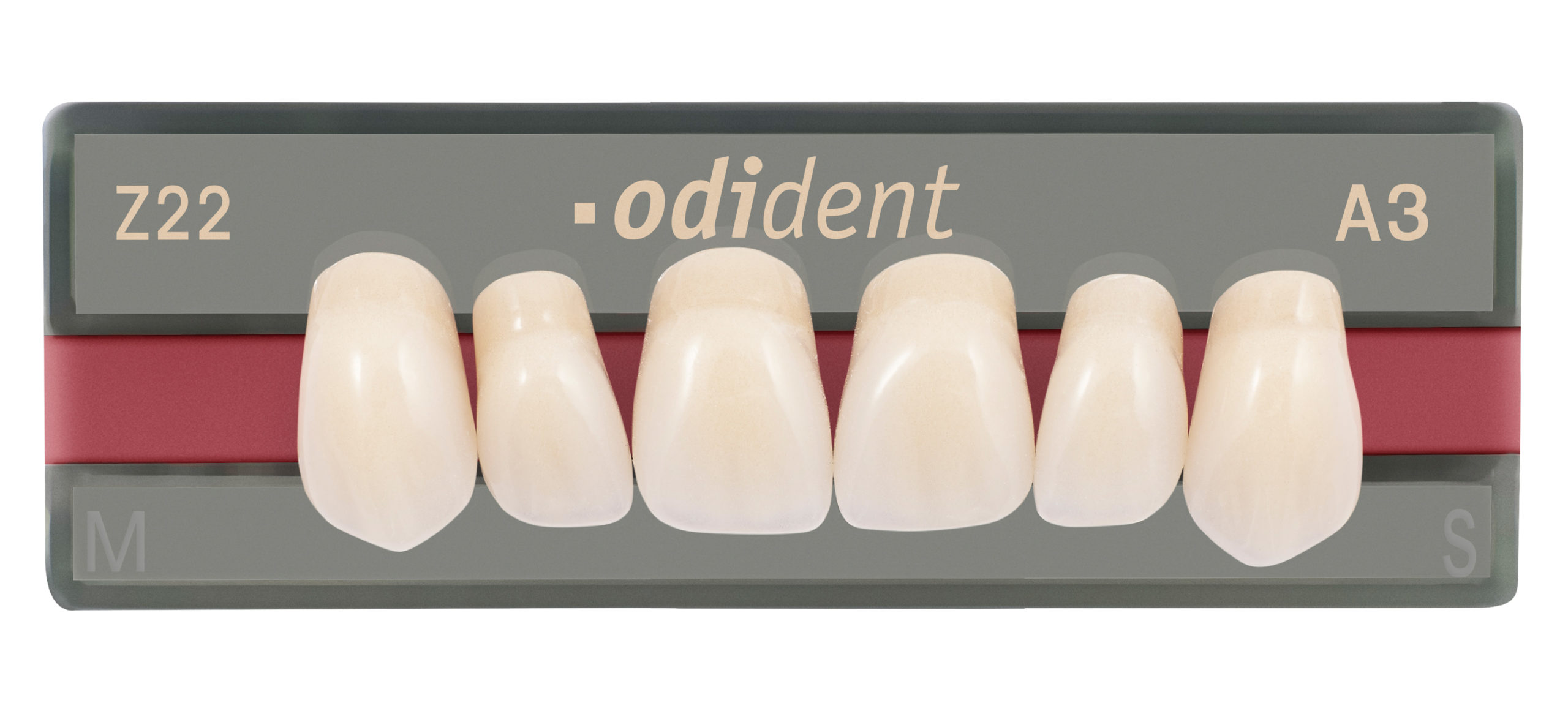odident dientes artificiales