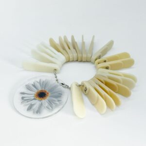 GUIA DE COLOR IDODENTINE DENTINAS